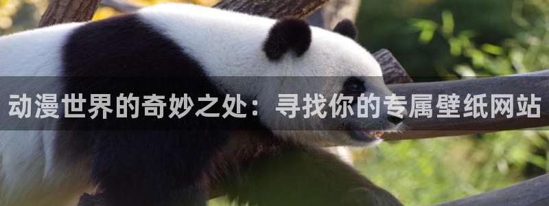 5樱花动漫：动漫世界的奇妙之处：寻找你的专属壁纸网站